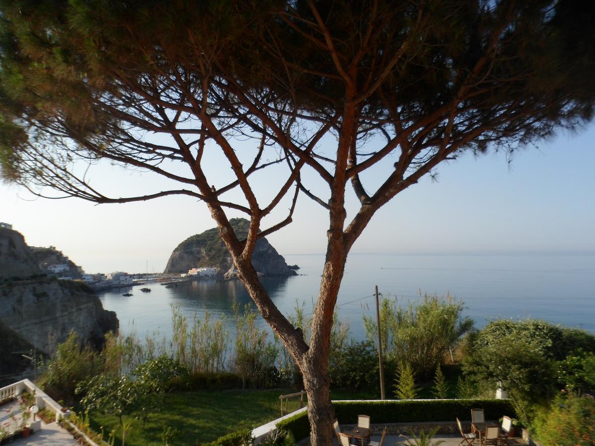 Casa Gerardo Hotel Sant'Angelo (Isola d'Ischia)