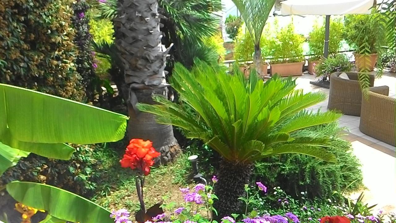 Casa Gerardo Hotel Sant'Angelo (Isola d'Ischia)